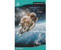 Classmate Notebook - 27.2 cm x 16.7 cm, Soft Cover, 180 Pages, Unruled - Pack of 6